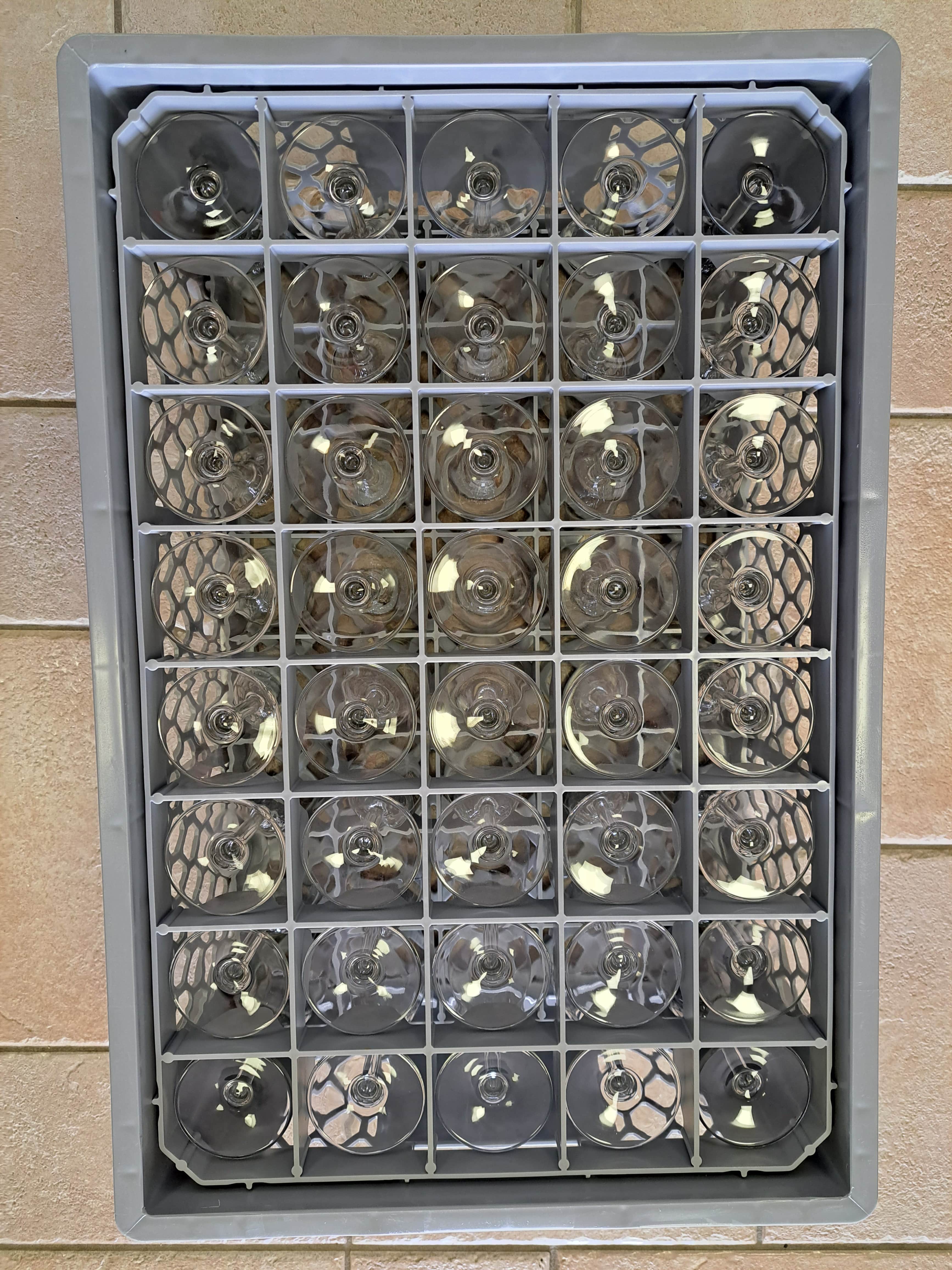 Champagneglas flûte 21cl (40st. per krat)