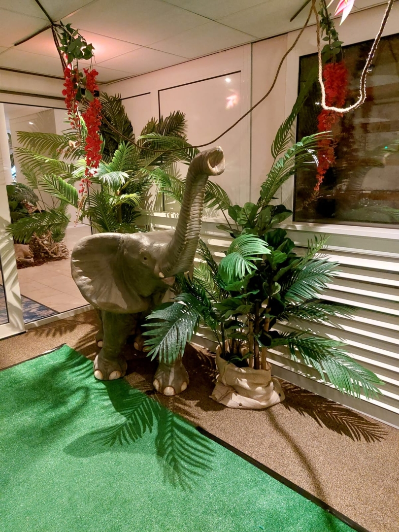 Goldencane palm 210 cm