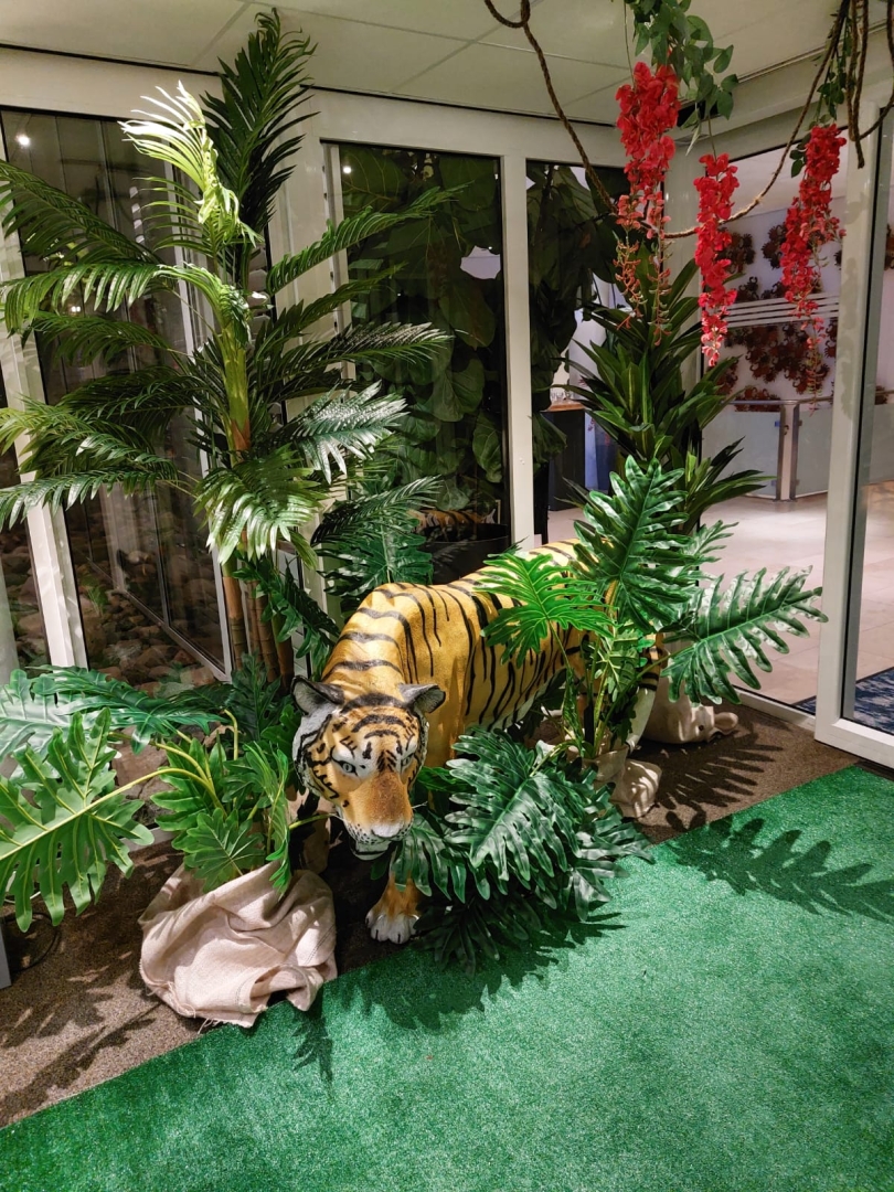 Goldencane palm 190 cm