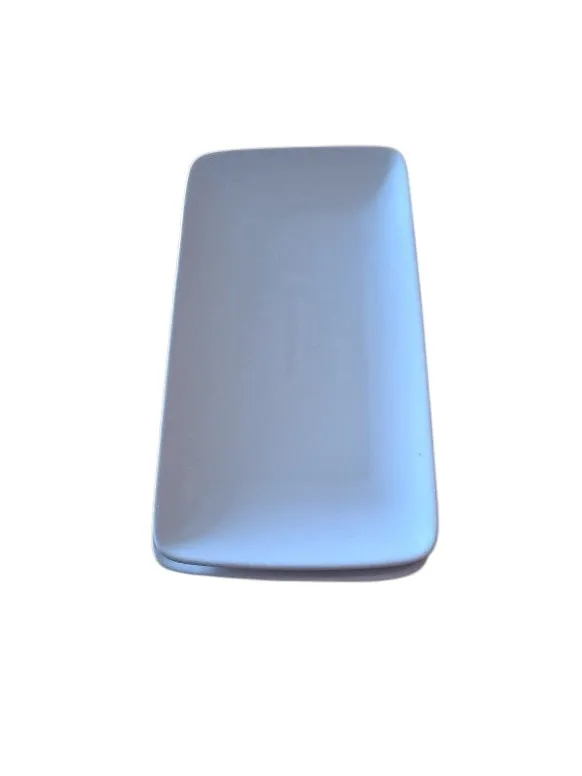 Bord Basic Rechthoek 30x16cm (p/st)