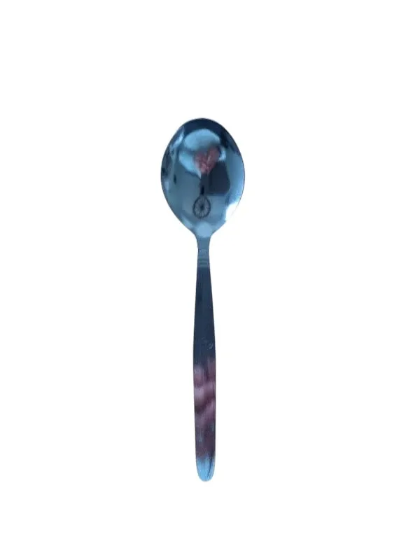 Soep lepel 17 cm (p/st)