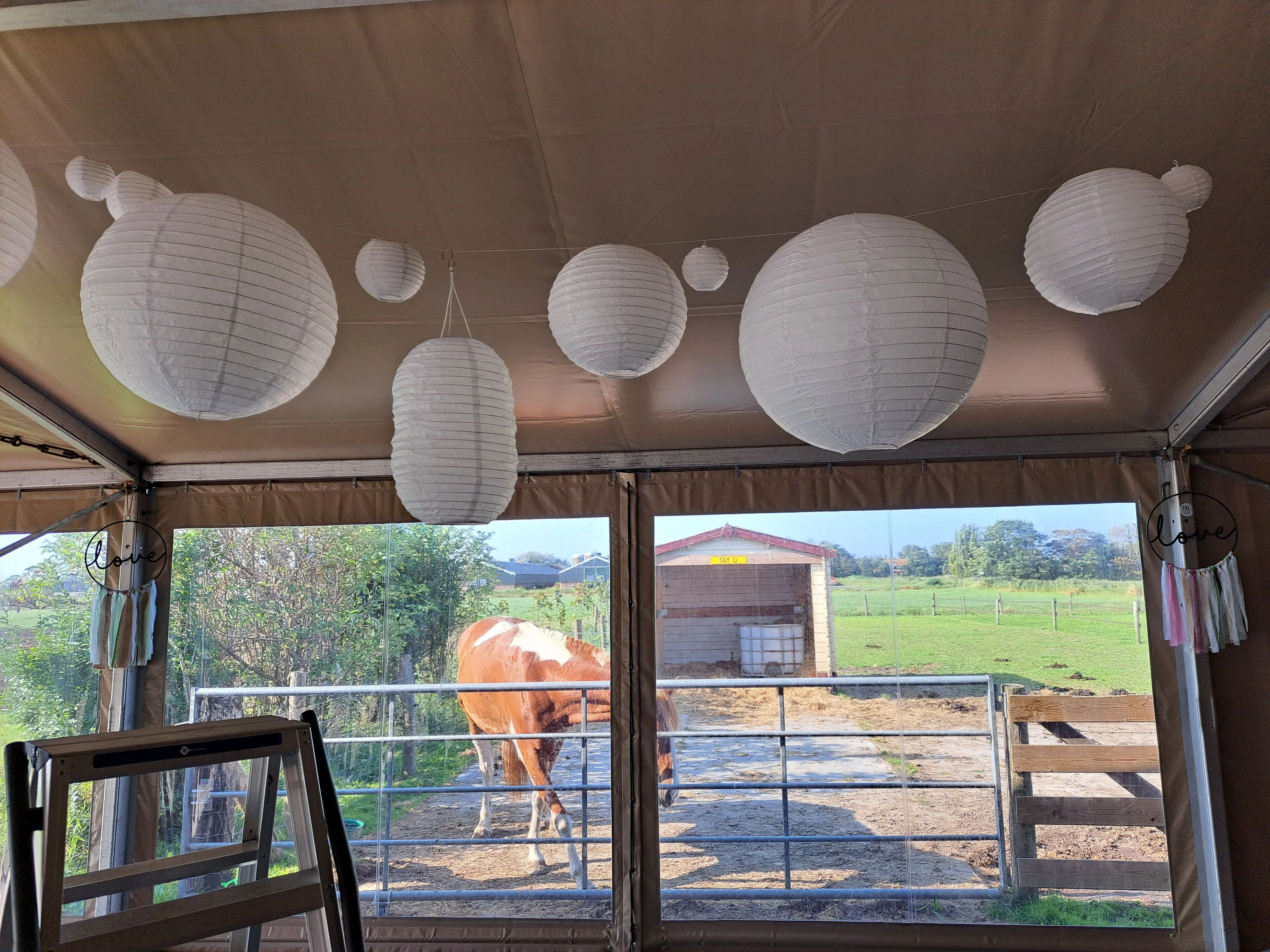 Lampion ovaal 45 cm (wit) trouw decoratie