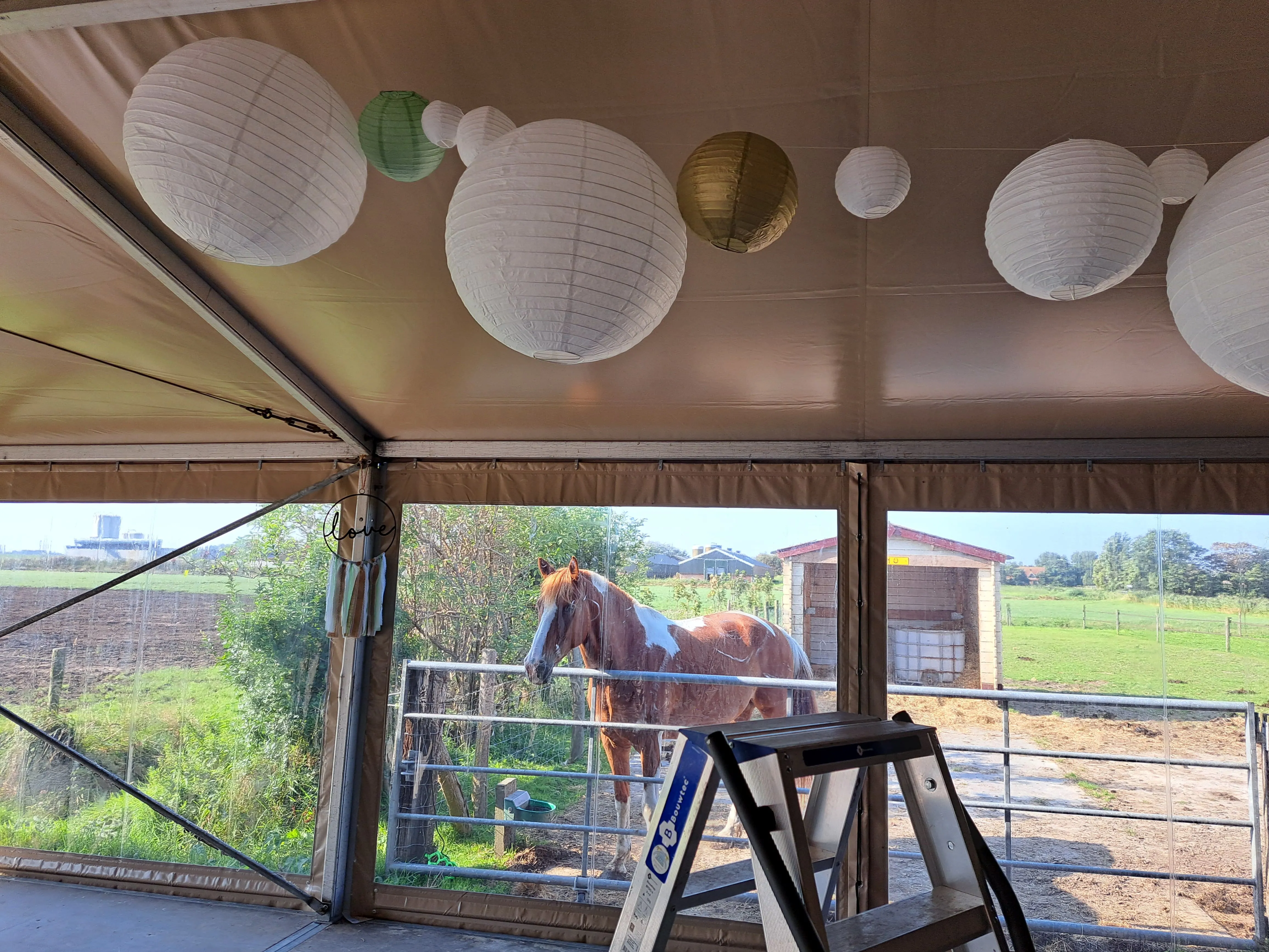 Lampion 45 cm (wit) trouw decoratie