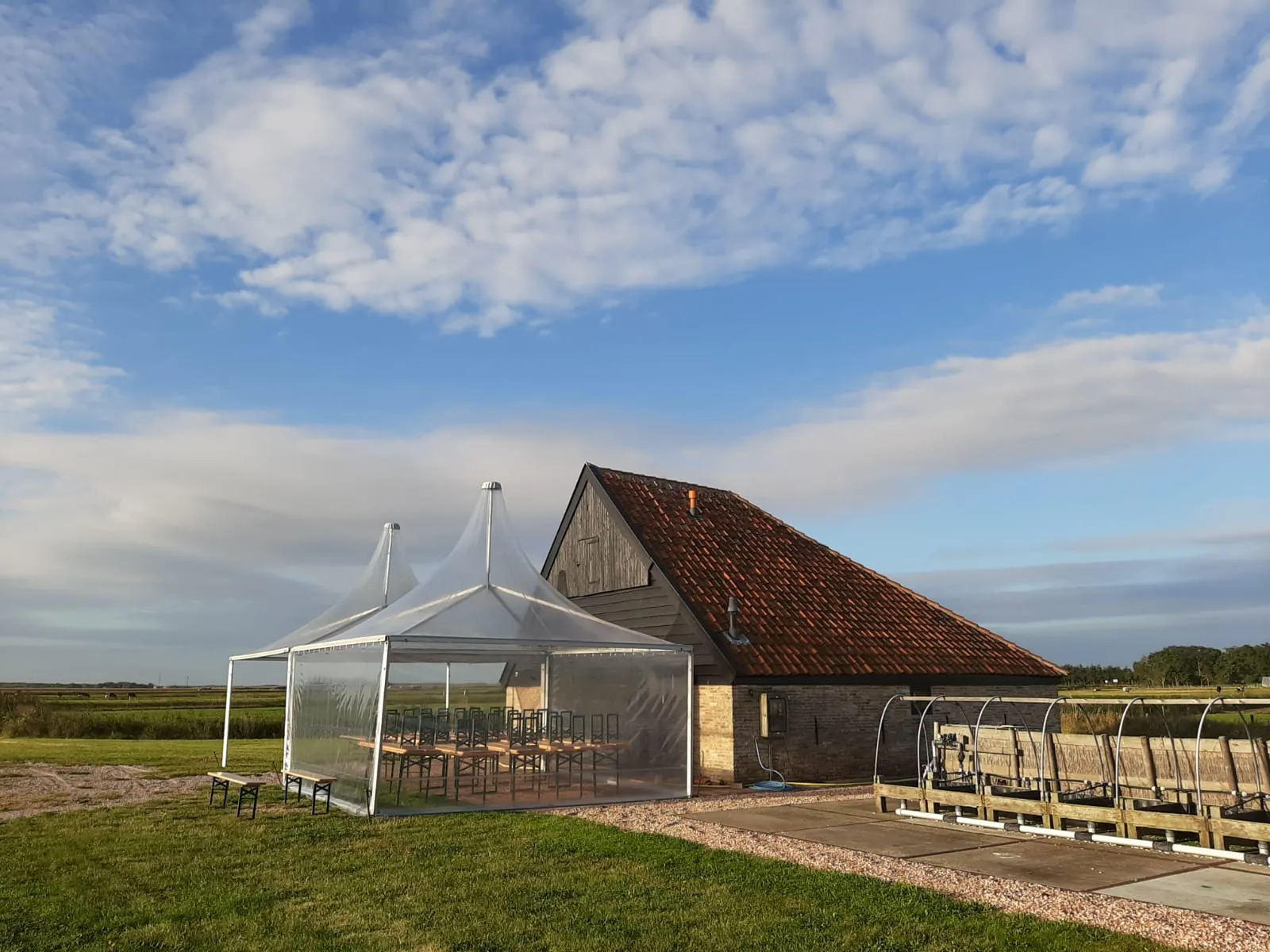 Tent Pagode 5 x 5 meter met zeilen zijwanden